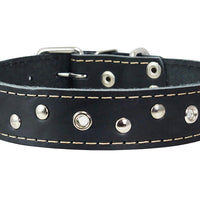 Genuine Leather Studded Dog Collar, 1.25" Wide. Fits 16"-19" Neck