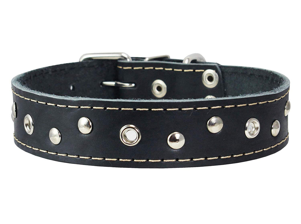 Genuine Leather Studded Dog Collar, 1.25" Wide. Fits 16"-19" Neck