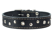 Genuine Leather Studded Dog Collar, 1.25" Wide. Fits 16"-19" Neck