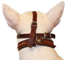 Real Leather Cage Basket Secure Dog Muzzle #117 Brown (Circumference 10.75", Snout Length 2.75")