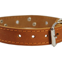 Genuine Leather Studded Dog Collar, Tan, 1" Wide. Fits 13"-17.5" Neck Size