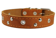 Genuine Leather Studded Dog Collar, Tan, 1" Wide. Fits 13"-17.5" Neck Size