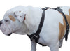 Black Genuine Leather Dog Harness, 33"-41" Chest, 1" Wide Straps Mastiff, Great Dane