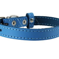 Genuine Leather Dog Collar for Smallest Dogs and Puppies 3 Sizes Blue