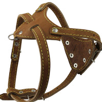Brown Genuine Leather Dog Harness, 16.5"-20" Chest size, 1/2" Wide