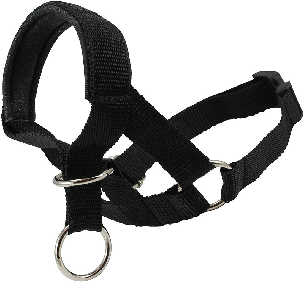 Dog Head Collar Halter Black 6 Sizes