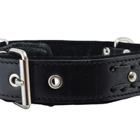 Genuine Leather Braided Studded Dog Collar, Black 1.6" Wide. Fits 19"-24" Neck, Large