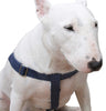 Cotton Web Adjustable Dog Step-in Harness 4 Sizes Blue