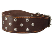 Dogs My Love 3" Extra Wide Genuine Leather Studded Brown Leather Collar. Fits 20"-24.5" Neck Large