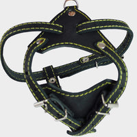Genuine Leather Dog Harness, 16.5"-20" Chest size, 1/2" Wide