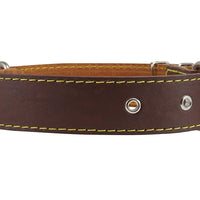 Real Thick Leather Dog Collar 16"-22" Neck Size, 1.5" Wide, Bullterrier, Pitbull