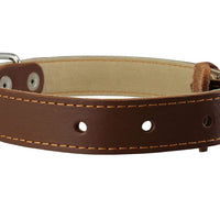 Genuine Thick Leather Collar for Medium Dogs 15"-20" Neck Size, 1" Wide, Brown