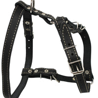Real Leather Dog Walking Harness Medium Black, 21" - 26" Chest