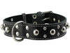 Black Real 1.5" Wide Thick Leather Studded Dog Collar. Fits 17"-21.5" Neck, Large Breeds.