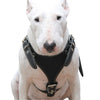 Black Genuine Leather Dog Harness, Medium. 25"-30" Chest, 1" Wide Adjustable Straps