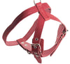 Red Genuine Leather Dog Harness, Medium. 25"-30" Chest, 1" Wide Adjustable Straps, Amstaff