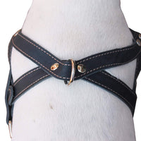 Genuine Black Leather Dog Pulling Walking Harness Medium to Large. 25.5"-31" Chest, 1.5" Straps