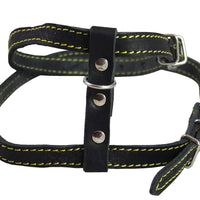 Real Leather Feline Harness, 12"-15" Chest size, 3/8" Wide, Small to Medium Cats
