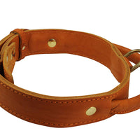 Genuine Leather Dog Collar, Rolled Leather Handle Tan