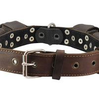 4lbs Genuine Leather Weighted Dog Collar 1.5" wide. Exercise and Training. Fits 19"-24" Neck size
