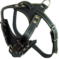 Real Leather Dog Harness, 24.5"-28" Chest size, 3/4" Wide, Dalmatian,