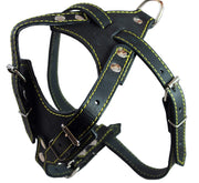 Real Leather Dog Harness, 24.5"-28" Chest size, 3/4" Wide, Dalmatian,