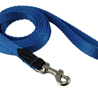Dog Leash 1/2" Wide Nylon 6ft Length with Leather Enforced Snap Blue Small