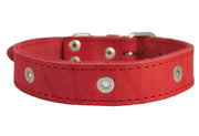 Genuine Leather Studded Dog Collar, 1.25" Wide. Fits 15"-18.5" Neck. Amstaff