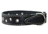 Genuine Leather Studded Dog Collar, 1.25" Wide. Fits 16"-19" Neck
