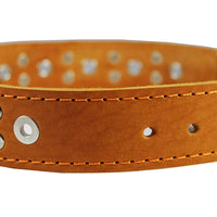 Genuine Leather Studded Dog Collar 25"x1.5" Tan Fits 18"-21" Neck Large