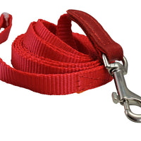 Dog Leash 1/2" Wide Nylon 6ft Length with Leather Enforced Snap Red Small