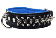 Dogs My love Spiked Studded Genuine Leather Dog Collar 1.75" Wide Black/Blue