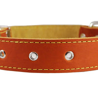 Real Thick Leather Dog Collar 16"-22" Neck Size, 1.5" Wide, Bullterrier, Pitbull