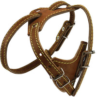 Brown Genuine Leather Dog Harness, 16.5"-20" Chest size, 1/2" Wide
