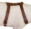 Genuine Tooled Leather Dog Harness Medium. 22"-30" Chest, 3/4" Wide Straps, Boston Terrier