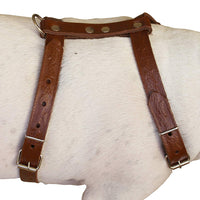 Genuine Tooled Leather Dog Harness Medium. 22"-30" Chest, 3/4" Wide Straps, Boston Terrier