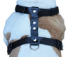 Black Genuine Tooled Leather Dog Harness Large. 27"-37" Chest, 1.25" Wide Straps Pit Bull, Boxer