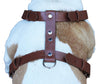 Brown Genuine Tooled Leather Dog Harness Large. 27"-37" Chest, 1.25" Wide Straps Pitbull, Boxer