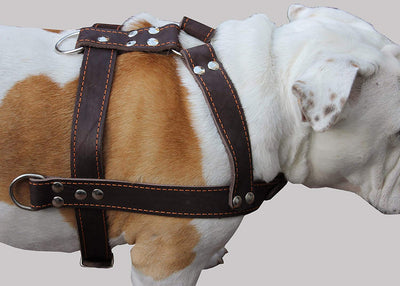 Brown Genuine Leather Dog Pulling Harness 33