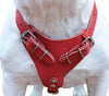 Genuine Leather Dog Harness, 29"-37" Chest, 1" Wide Straps, Doberman, Pitbull, Bullterrier