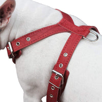 Red Genuine Leather Dog Harness, Medium. 25"-30" Chest, 1" Wide Adjustable Straps, Amstaff