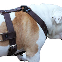 Genuine Leather Dog Harness X-Large 33"-40" Chest, 1.3" Wide Adjustable Straps
