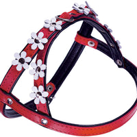 Genuine Leather Dog Harness Daisies for Toy and Small Breeds Padded Red/Black