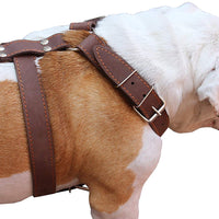 Brown Genuine Leather Dog Harness, Xlarge. 33"-37" Chest, 1.5" Wide Straps