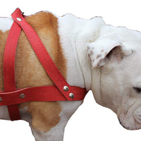 Leather Dog Pulling Walking Harness . 31"-35" Chest, 1.5" Wide Straps. Pitt Bull, Rottweiler