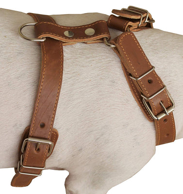 Genuine Leather Dog Harness, 25