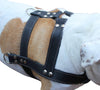 Black Genuine Leather Dog Pulling Harness 33"-37" Chest Size 1.5" Wide Straps, Cane Corso Rottweiler