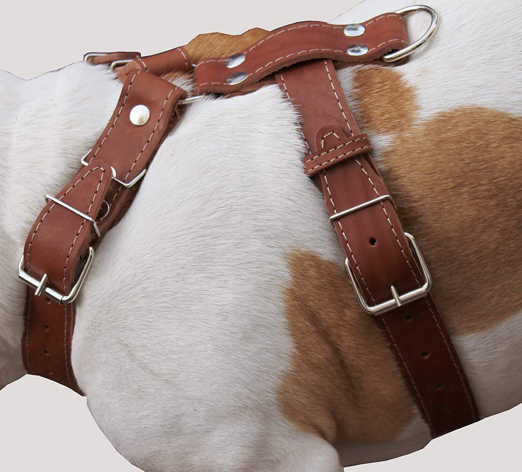 Brown Genuine Leather Dog Harness, Large to XLarge. 35"-39" Chest, 1.5" Wide Straps