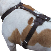Genuine Leather Dog Harness, 29"-37" Chest, 1" Wide Straps, Boxer, Pitbull, Bullterrier
