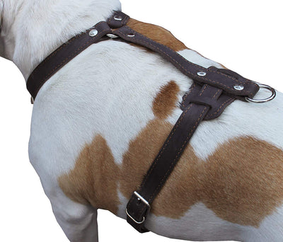 Genuine Leather Dog Harness, 37